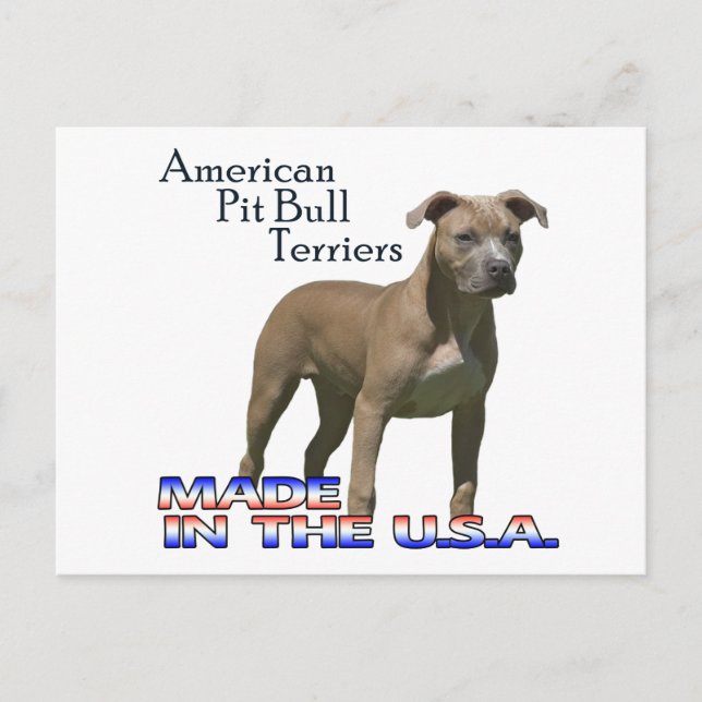 Patriot American Pit Bull Terrier (APBT) Postcard (Front)