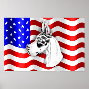 Patriot Dane Harle Poster