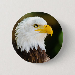 Patriotic Adult American Bald Eagle 6 Cm Round Badge