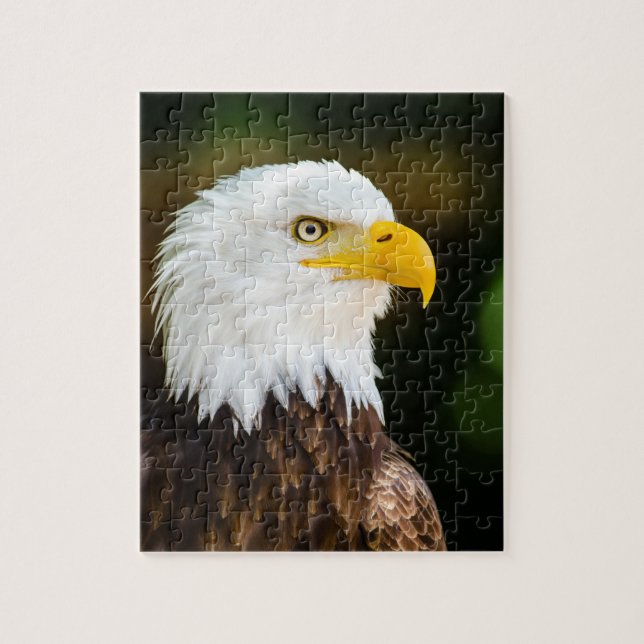 Patriotic Adult American Bald Eagle Jigsaw Puzzle (Vertical)