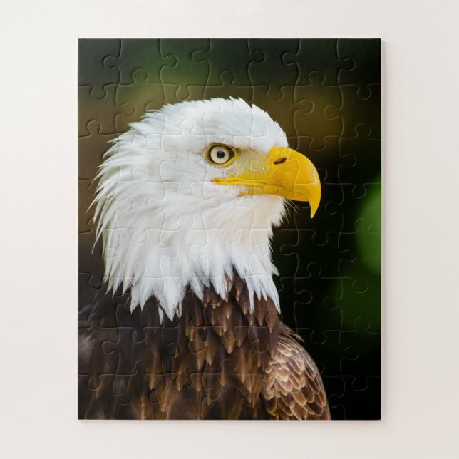 Patriotic Adult American Bald Eagle Jigsaw Puzzle (Vertical)