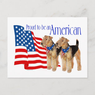 Patriotic Airedale Terriers Postcard