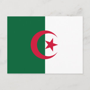 Patriotic Algerian Flag Postcard