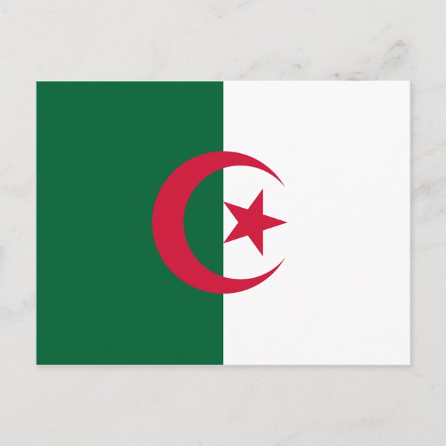 Patriotic Algerian Flag Postcard (Front)
