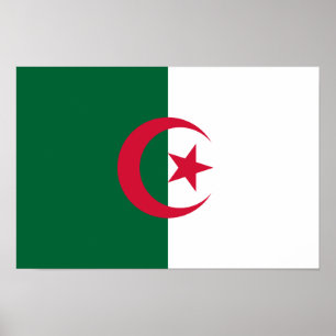 Patriotic Algerian Flag Poster