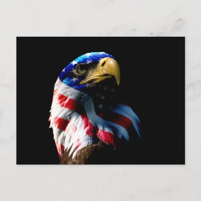 Patriotic American Eagle Postcard (Front)