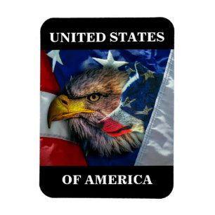 Patriotic American Flag Bald Eagle Wolf Magnet