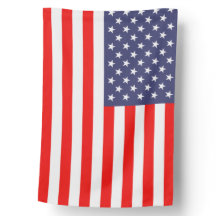 Patriotic American Flag with pole and mount