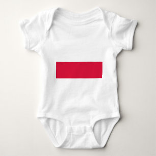 Patriotic baby bodysuit with flag Poland