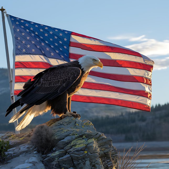 Patriotic Bald Eagle in front of American Flag Jigsaw Puzzle (Creator Uploaded)