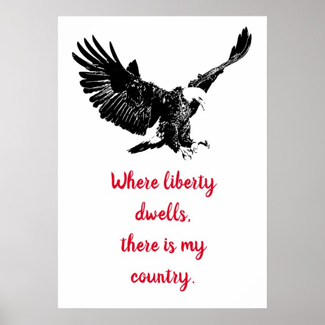 Patriotic Bald Eagle Motivational USA Liberty Poster (Front)