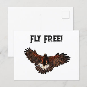 Patriotic Bald Eagle USA Flying Free Nature Art Postcard