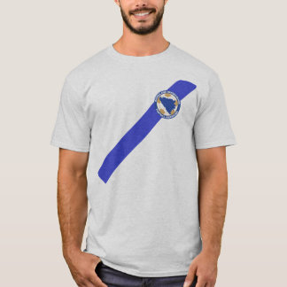 Patriotic BiH T-Shirt Jersey - Ibisevic 9