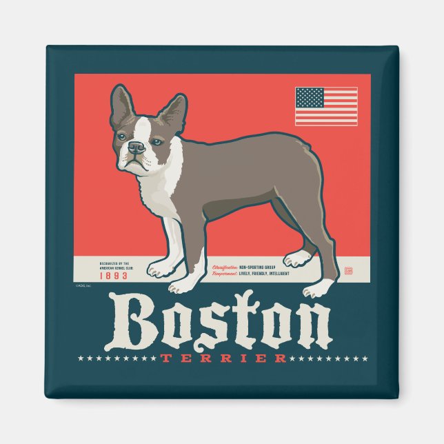 Patriotic | Boston Terrier Magnet (Front)