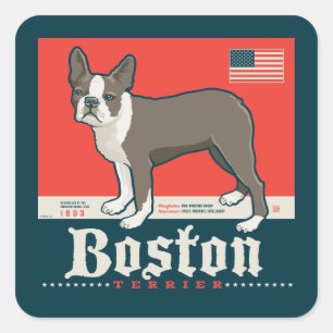 Patriotic   Boston Terrier Square Sticker