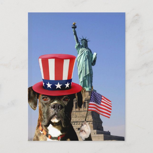 Patriotic boxer dog postcard (Front)