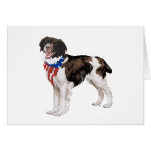 Patriotic Brittany