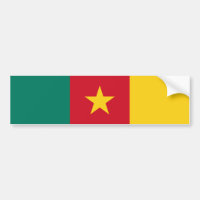Patriotic Cameroon Flag