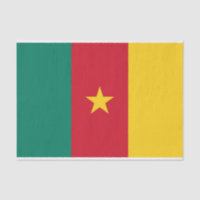 Patriotic Cameroon Flag