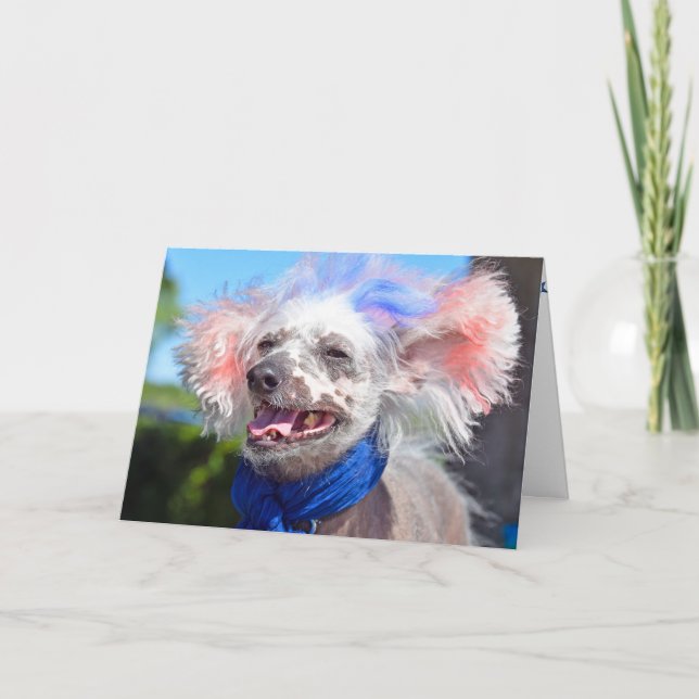 Patriotic Chinese Crested Hairless Dog Card (Front)
