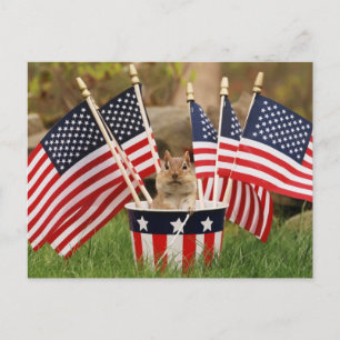 Patriotic Chipmunk Postcard