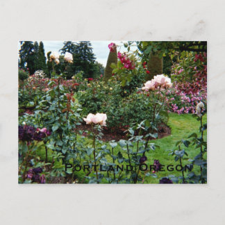 Patriotic Colours Rose Garden Postcard
