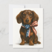 Patriotic Dachshund