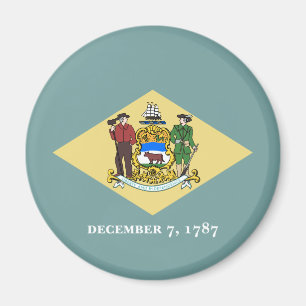 Patriotic Delaware State Flag Magnet
