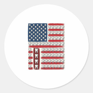 Patriotic Dentist Tooth Flag Classic Round Sticker