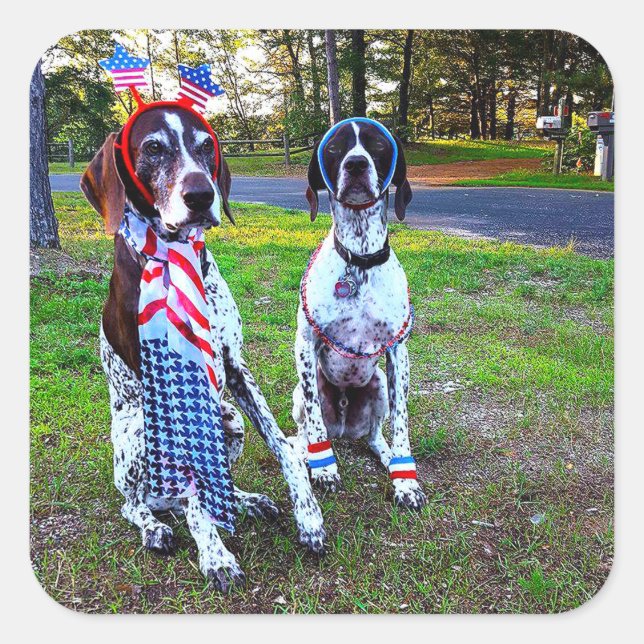 Patriotic Dogs Holiday Celebration Square Stickers (Front)