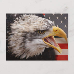 Patriotic Eagle Image Postcard