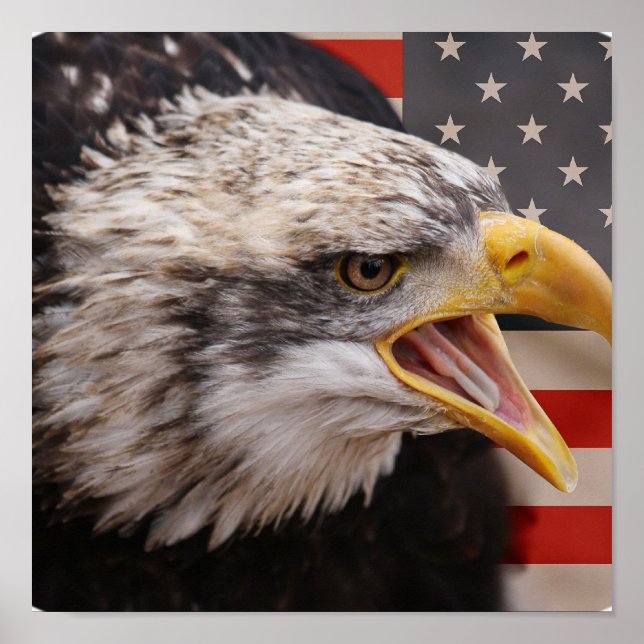 Patriotic Eagle Image Poster Print (Front)
