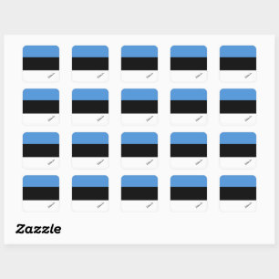 Patriotic Estonia & Estonian flag, holiday /sports Square Sticker