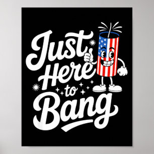 Patriotic firecracker us flag funny 4th of july  poster