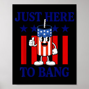 Patriotic firework usa humor just here to bang poster