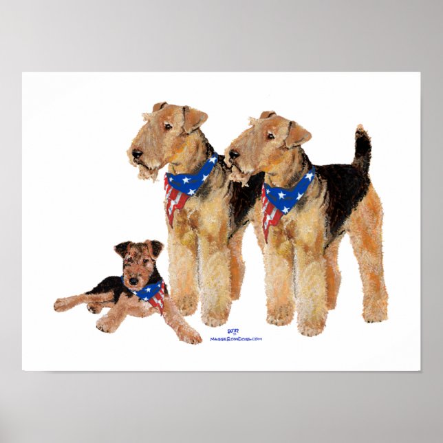 Patriotic Flag Trio Poster (Front)