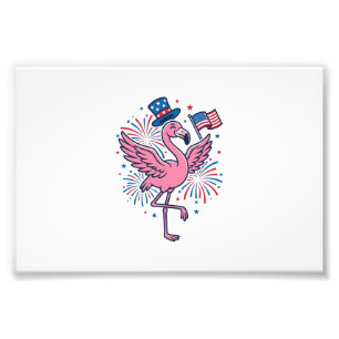 Patriotic Flamingo Fireworks Vector Design_1 Photo Print