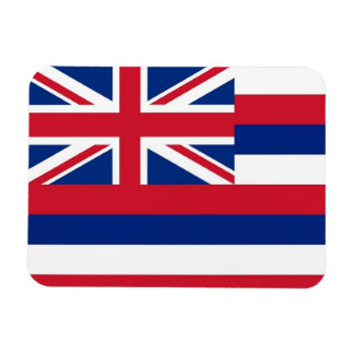 Patriotic flexible magnet with Hawaii flag
