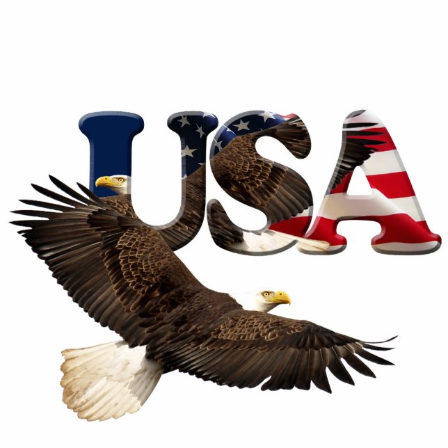 Patriotic Flying Bald Eagle & Flag Sculpted Gift Photo Sculpture Magnet (Front)