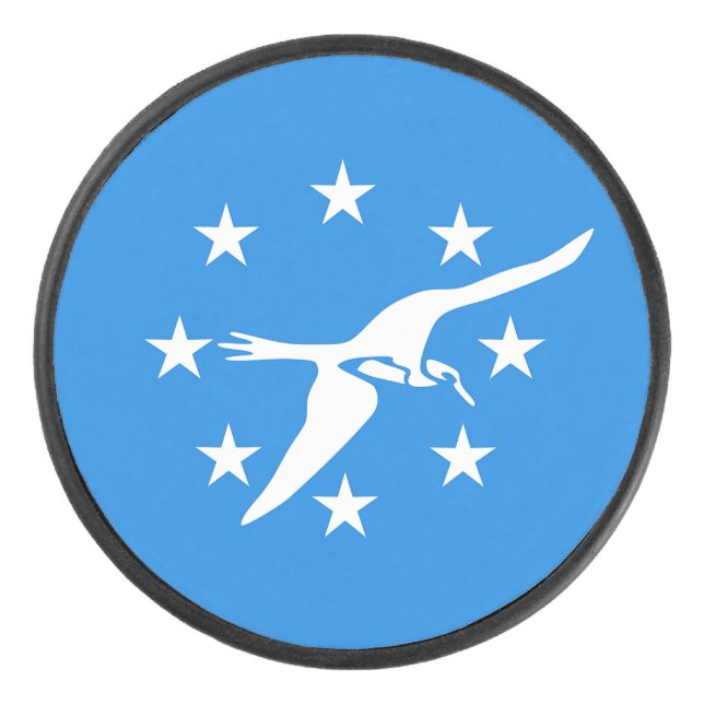Patriotic hockey puck with flag of Corpus Christi (Front)