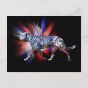 Patriotic Irish Wolfhound Red White and Blue Postcard