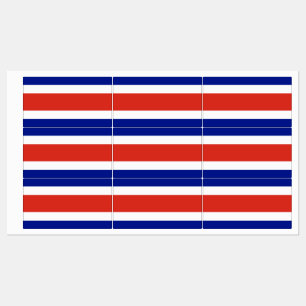 Patriotic labels with flag of Costa Rica