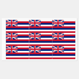 Patriotic labels with flag of Hawaii State