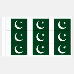Patriotic labels with flag of Pakistan