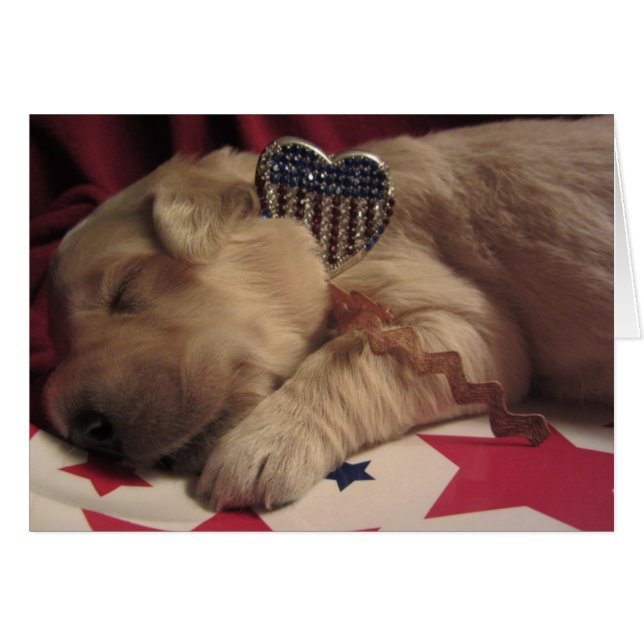 Patriotic Lucy (Front Horizontal)