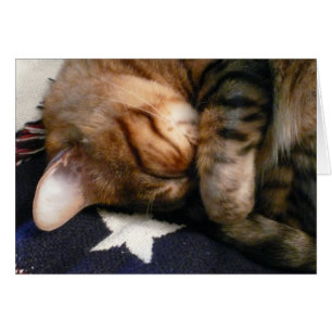 Patriotic Nap