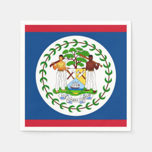 Patriotic paper napkins with flag of Belise