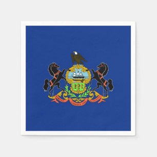 Patriotic paper napkins with Pennsylvania flag