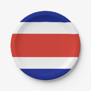 Patriotic paper plate with flag of Costa Rica