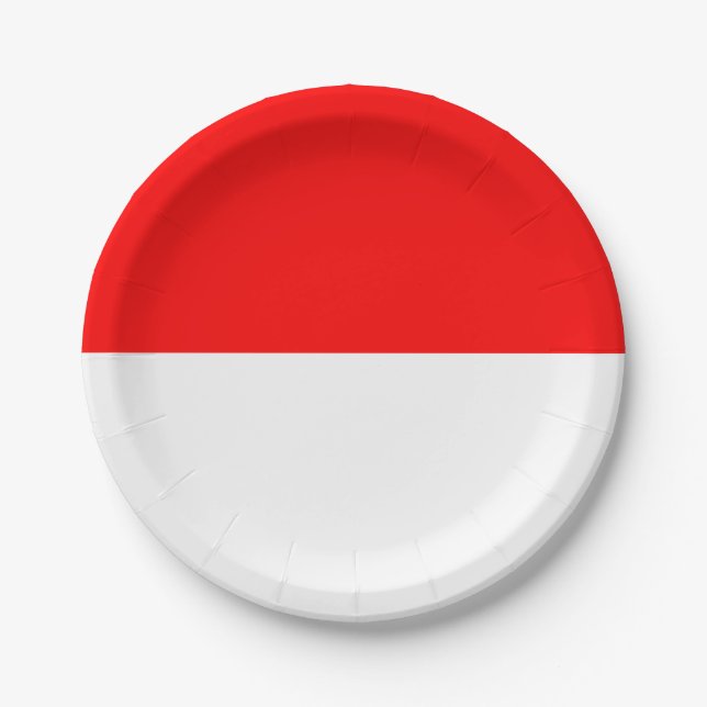 Patriotic paper plate with flag of Indonesia (Front)